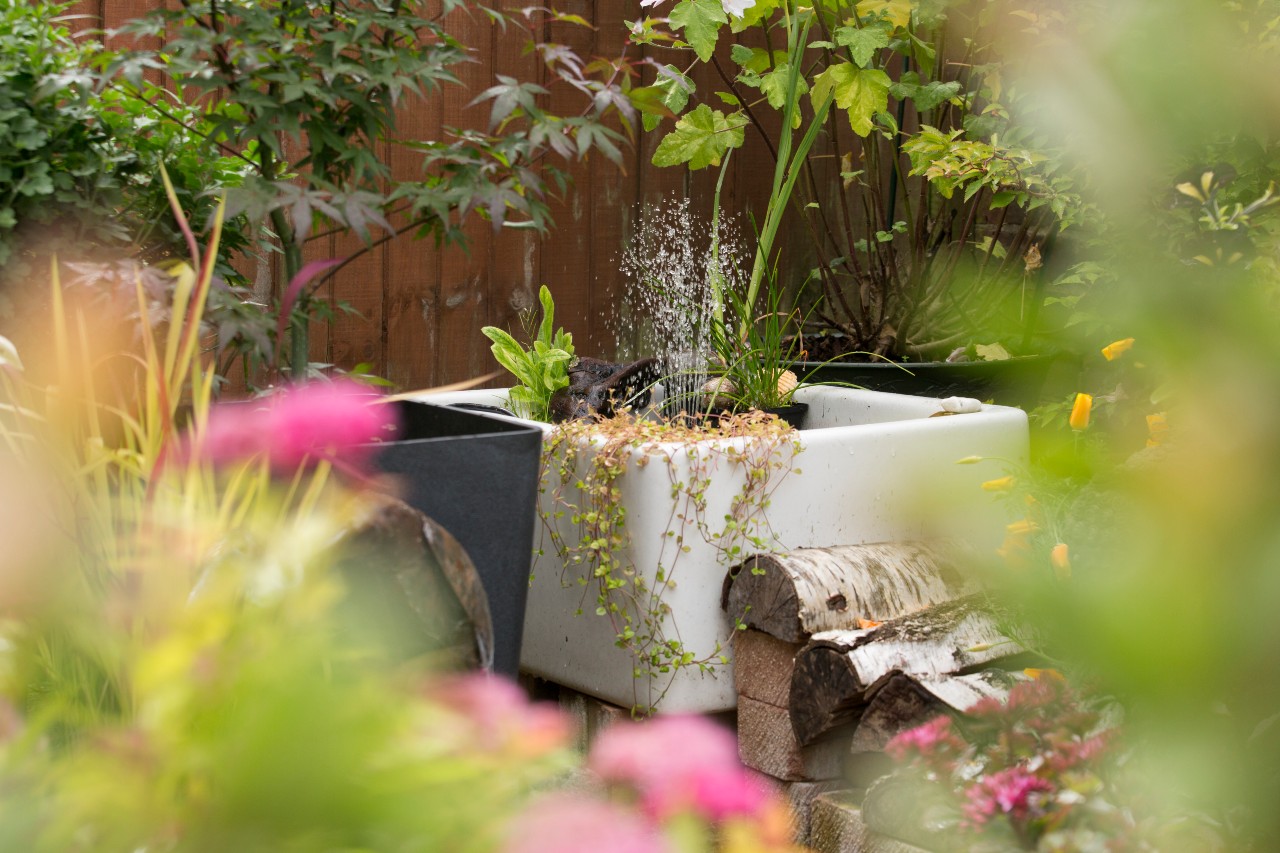 Nature on Your Doorstep